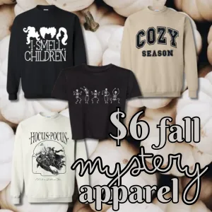 $6 Mystery Fall Apparel