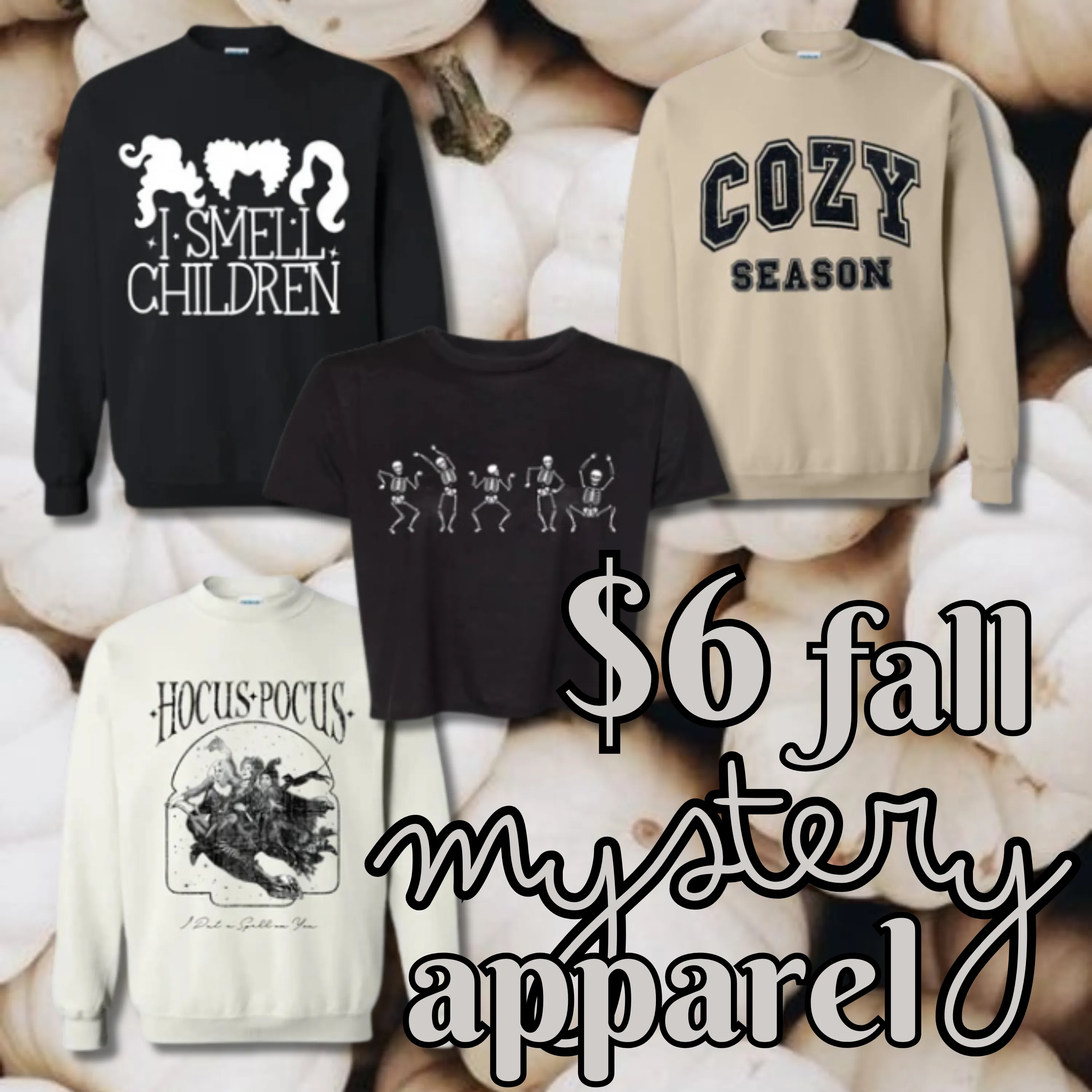 $6 Mystery Fall Apparel