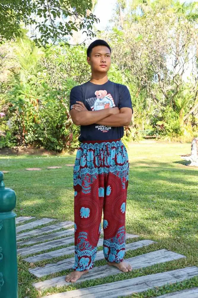 Mens Baggy Elephant Pants