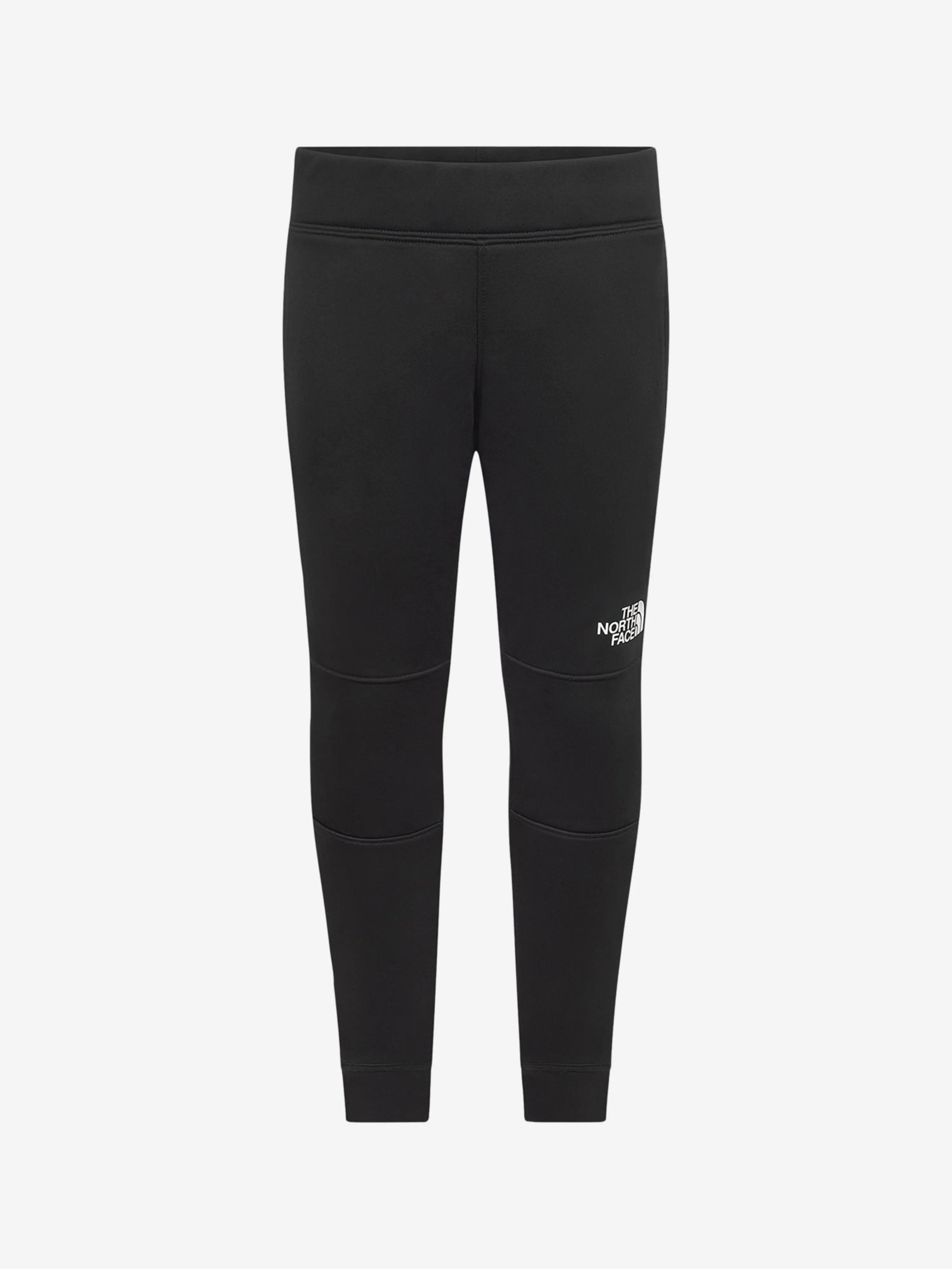 The North Face Surgent Pants