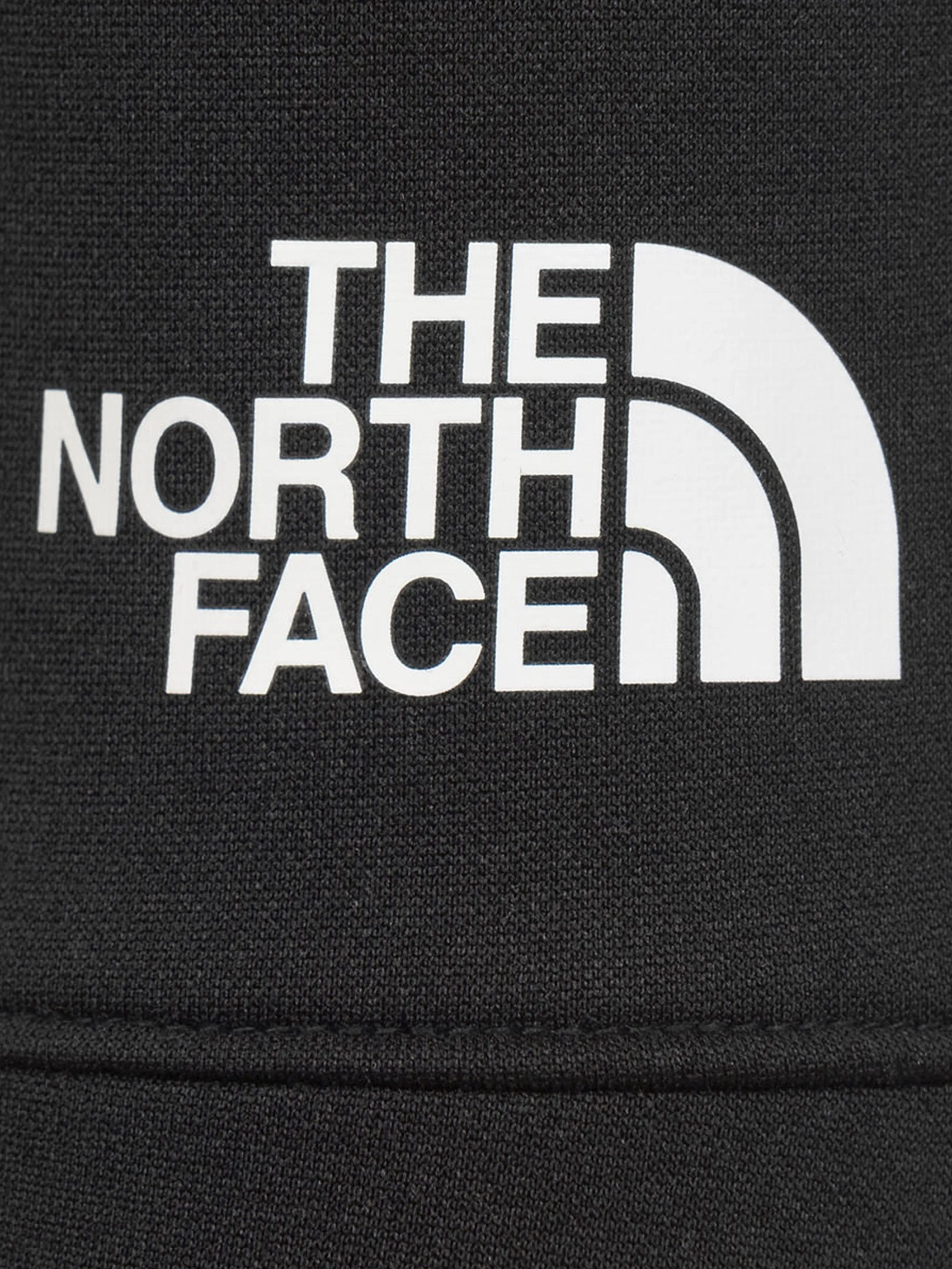The North Face Surgent Pants